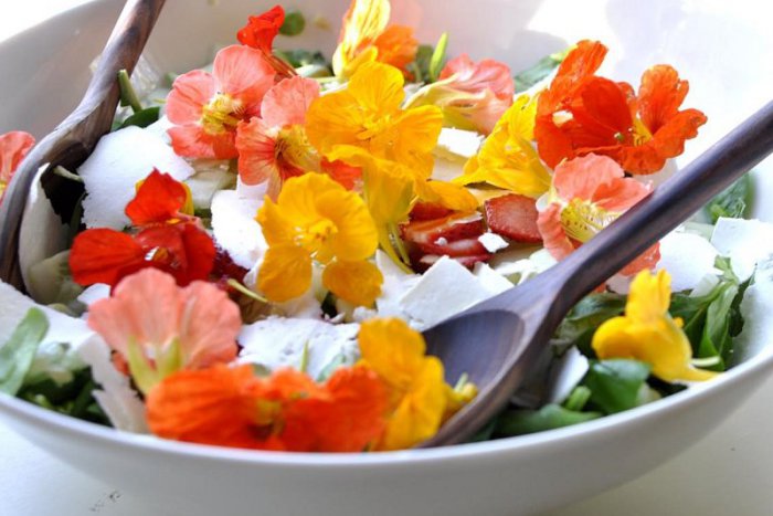 Ilustračný obrázok k článku Kvety na zjedenie. Viete, ktoré môžete použiť v kuchyni a načo?