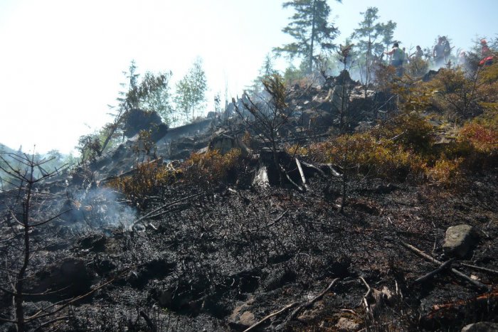 Ilustračný obrázok k článku V katastri Hubovej už druhý deň horí les: Hasiči si vypílili cestu, dovážajú vodu. FOTO z miesta